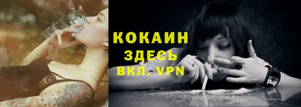 mix Пересвет