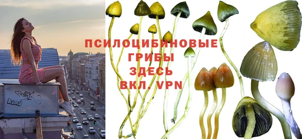 МДПВ Переславль-Залесский