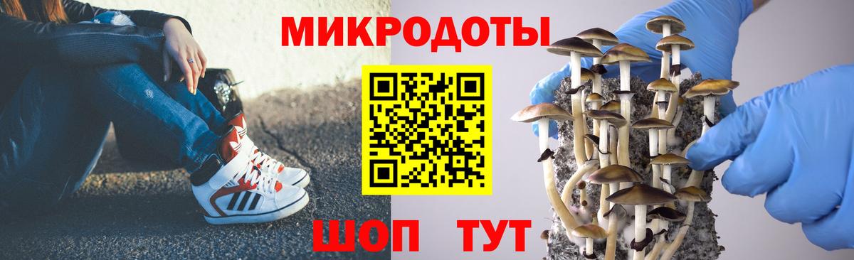 Псилоцибиновые грибы прущие грибы Стрежевой